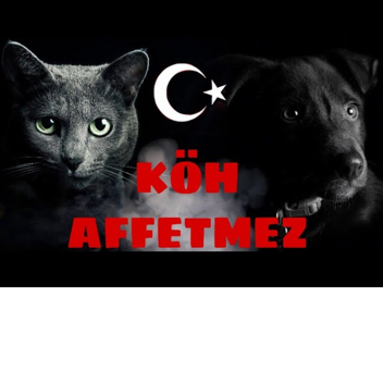 KÖH Kedi Özel Harekat Eğitim