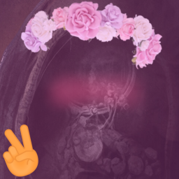 Umm.. Darkwood Trader fangame... icon
