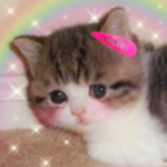 · cutelyns ·