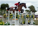 Roblox horse riding lessons
