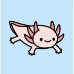 Axolotl all the best