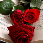 -*The Strawberries*-