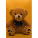 TeddyBearxOx