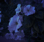 #Vespertine