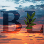 Botanical Luxury