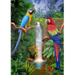 Zoo Home Store