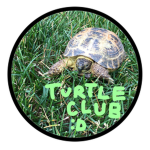 Turtle Club :D