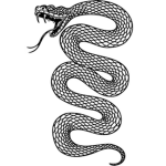 Silver Snakes 39r2