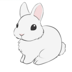 ･:*:･Bunny Store･:*:･