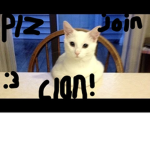 :3 Clan'z