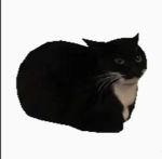 αllusίσn