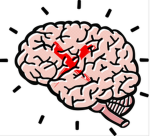 NoBrainerStudios