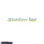 Shadow box