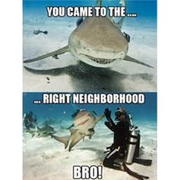 Down in the Neighborhood