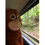 네모의 꿈