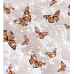 السيدة فراشة