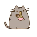 Pusheen Kitty!
