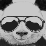 PANDA MAN IS COOL