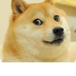 Doge we Stand