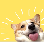 doges are the life