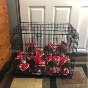 breezys birthday party