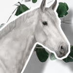< OAKFIELD EQUESTRIAN >