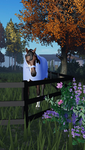 Stonebridge Equestrian Center