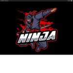 Ninjas and Assassins and Spy’s