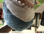 Cool Sharks