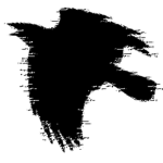 Raven Engineering