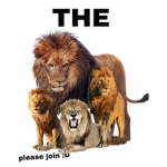 The Coolest Lions
