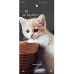 Cookie cupcake360