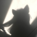 catᅠᅠ