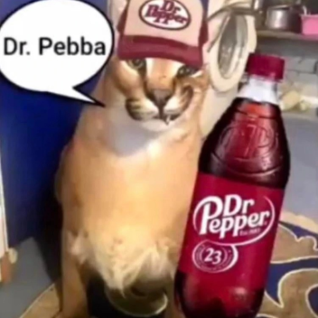 Gas Station Experience