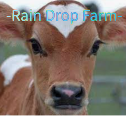 -Rain Drop Farm-