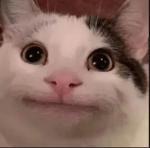 Toast roul