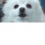 VannskyplayZ