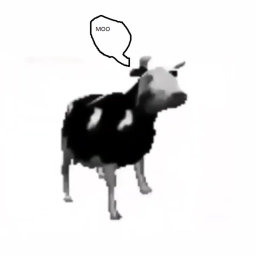 find the cows