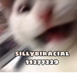sillybiracial