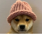 LegitCoolMen