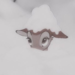 - ellia -