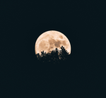 ~ The Moon ~