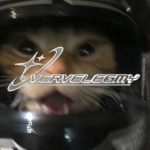 ʚ vervelegmy ɞ