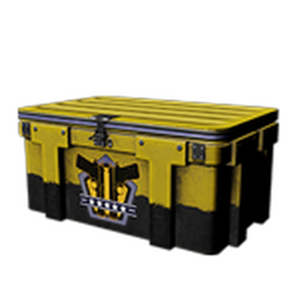 x10 Gun Case #5