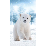 Polar Bears Are Adorable