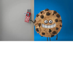 obesityK