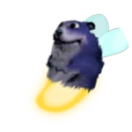 Firefly Chomik