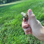 Stick gun battlegrounds