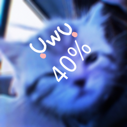 40%