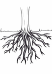 Little Roots Studio